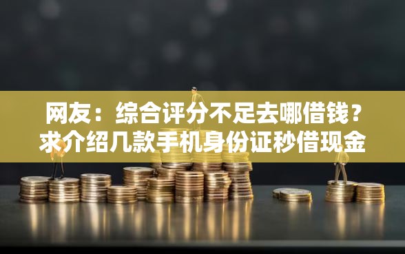 网友：综合评分不足去哪借钱？求介绍几款手机身份证秒借现金的平台