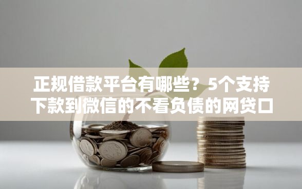 正规借款平台有哪些？5个支持下款到微信的不看负债的网贷口子