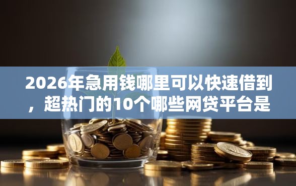 2026年急用钱哪里可以快速借到，超热门的10个哪些网贷平台是正规的推荐