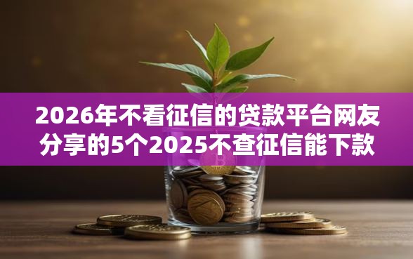 2026年不看征信的贷款平台网友分享的5个2025不查征信能下款的平台我觉得不错！