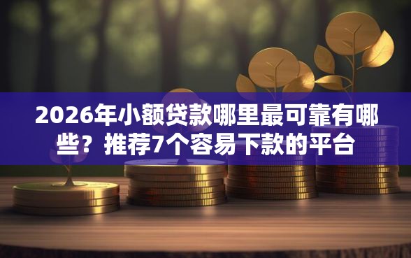 2026年小额贷款哪里最可靠有哪些？推荐7个容易下款的平台