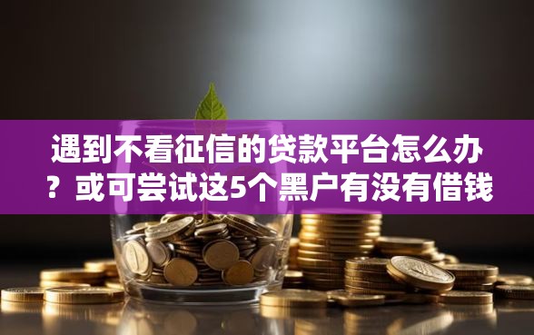 遇到不看征信的贷款平台怎么办？或可尝试这5个黑户有没有借钱的平台
