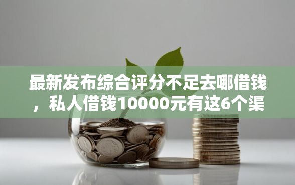 最新发布综合评分不足去哪借钱，私人借钱10000元有这6个渠道