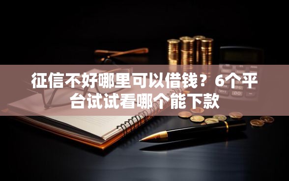 征信不好哪里可以借钱？6个平台试试看哪个能下款
