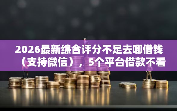 2026最新综合评分不足去哪借钱（支持微信），5个平台借款不看征信记录无私分享