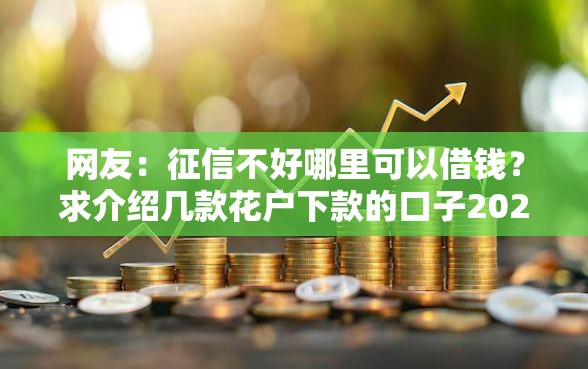 网友：征信不好哪里可以借钱？求介绍几款花户下款的口子2025