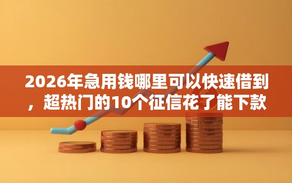 2026年急用钱哪里可以快速借到，超热门的10个征信花了能下款的平台推荐