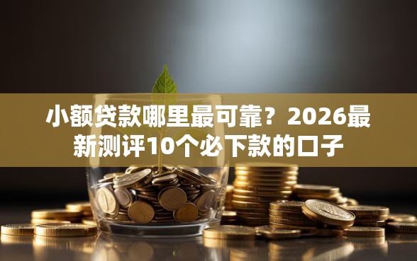 小额贷款哪里最可靠？2026最新测评10个必下款的口子