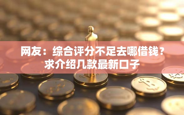 网友：综合评分不足去哪借钱？求介绍几款最新口子