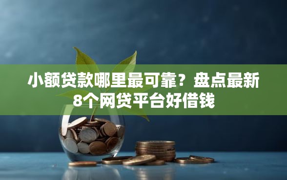 小额贷款哪里最可靠？盘点最新8个网贷平台好借钱