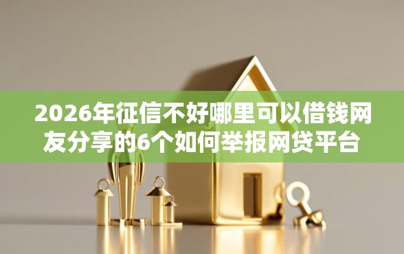 2026年征信不好哪里可以借钱网友分享的6个如何举报网贷平台我觉得不错！