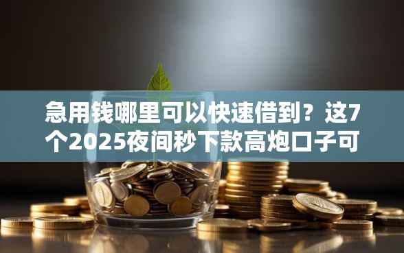 急用钱哪里可以快速借到？这7个2025夜间秒下款高炮口子可以试试