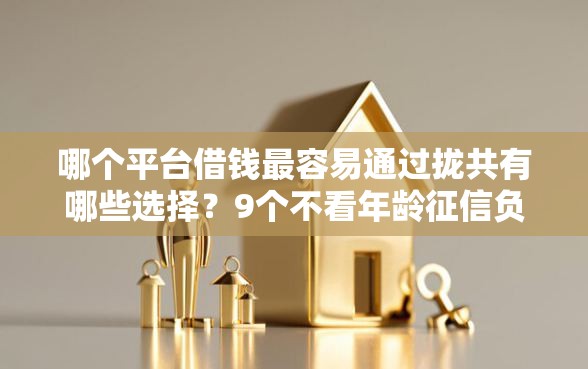 哪个平台借钱最容易通过拢共有哪些选择？9个不看年龄征信负债的平台详解