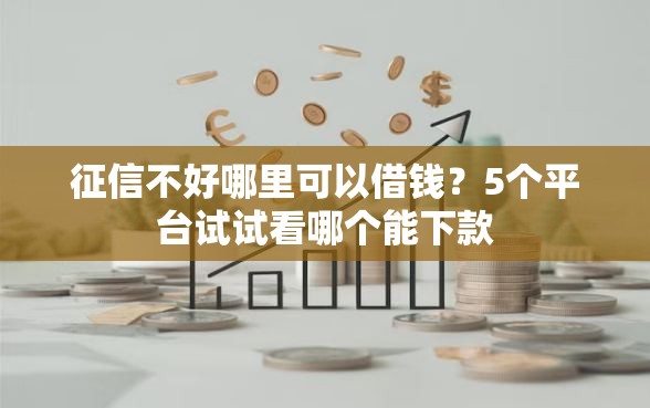 征信不好哪里可以借钱？5个平台试试看哪个能下款