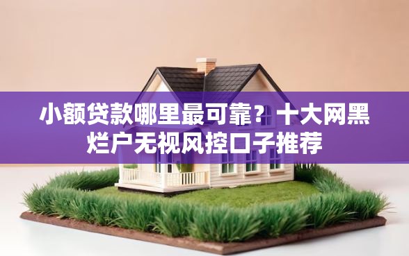 小额贷款哪里最可靠？十大网黑烂户无视风控口子推荐