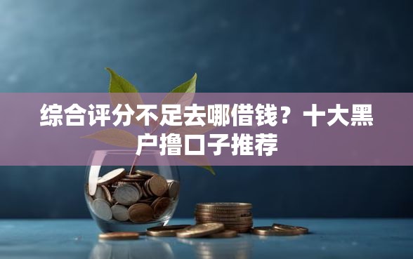 综合评分不足去哪借钱？十大黑户撸口子推荐