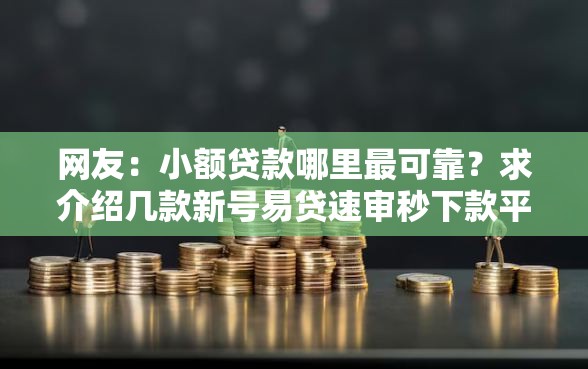 网友：小额贷款哪里最可靠？求介绍几款新号易贷速审秒下款平台
