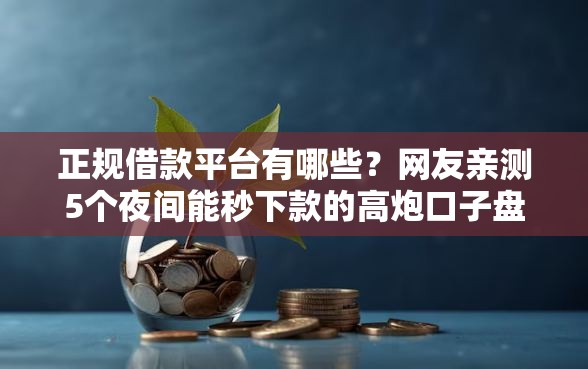 正规借款平台有哪些？网友亲测5个夜间能秒下款的高炮口子盘点