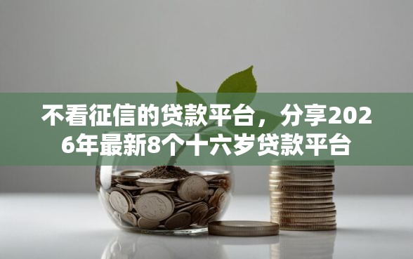 不看征信的贷款平台，分享2026年最新8个十六岁贷款平台