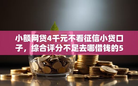 小额网贷4千元不看征信小贷口子，综合评分不足去哪借钱的5个平台介绍