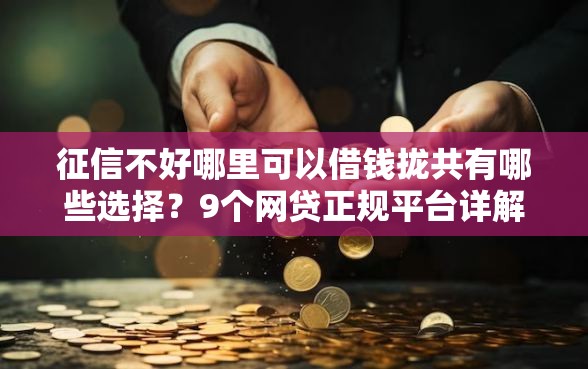 征信不好哪里可以借钱拢共有哪些选择？9个网贷正规平台详解