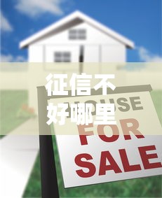 征信不好哪里可以借钱？十大贷款秒下的口子推荐