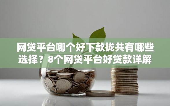 网贷平台哪个好下款拢共有哪些选择？8个网贷平台好贷款详解