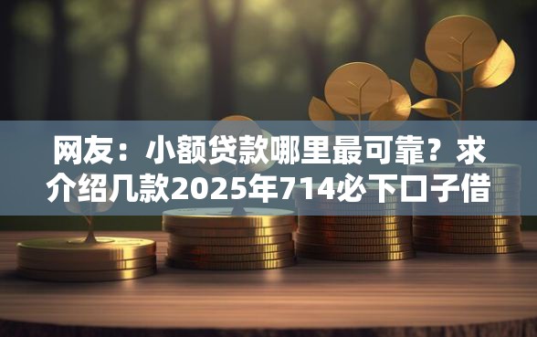 网友：小额贷款哪里最可靠？求介绍几款2025年714必下口子借款平台
