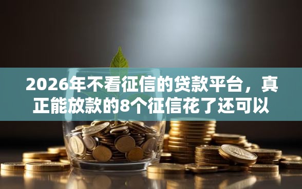 2026年不看征信的贷款平台，真正能放款的8个征信花了还可以借钱的平台推荐
