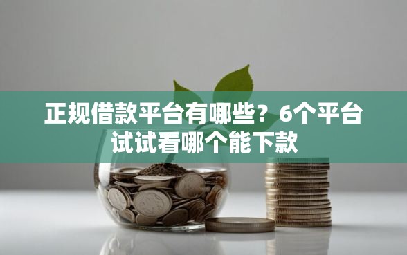 正规借款平台有哪些？6个平台试试看哪个能下款