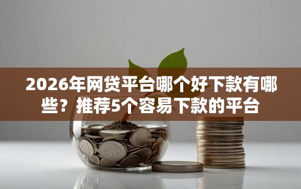 2026年网贷平台哪个好下款有哪些？推荐5个容易下款的平台