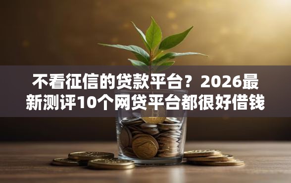 不看征信的贷款平台？2026最新测评10个网贷平台都很好借钱