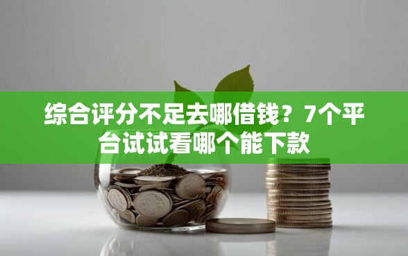 综合评分不足去哪借钱？7个平台试试看哪个能下款