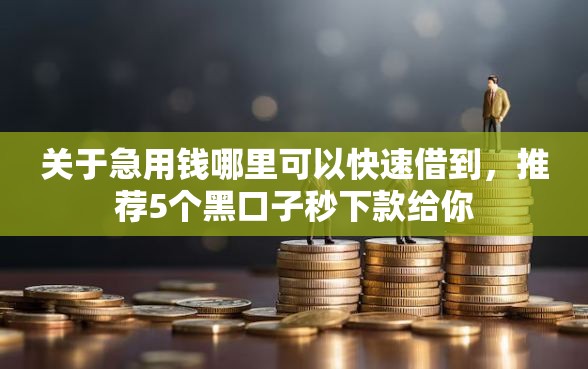 关于急用钱哪里可以快速借到，推荐5个黑口子秒下款给你