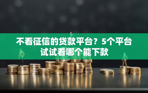 不看征信的贷款平台？5个平台试试看哪个能下款
