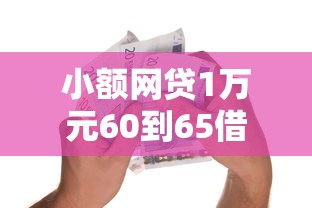 小额网贷1万元60到65借款平台，小额贷款哪里最可靠的7个平台介绍