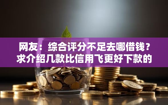 网友：综合评分不足去哪借钱？求介绍几款比信用飞更好下款的口子