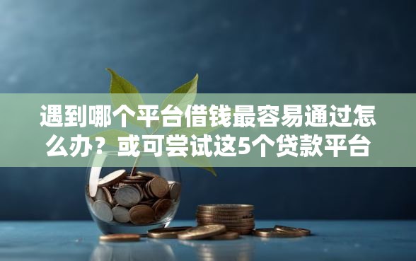遇到哪个平台借钱最容易通过怎么办？或可尝试这5个贷款平台软件
