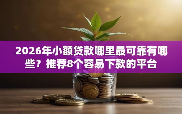 2026年小额贷款哪里最可靠有哪些？推荐8个容易下款的平台