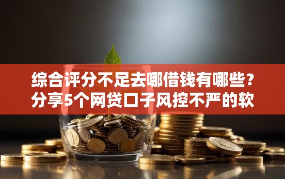 综合评分不足去哪借钱有哪些？分享5个网贷口子风控不严的软件