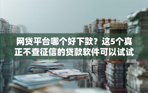 网贷平台哪个好下款？这5个真正不查征信的贷款软件可以试试
