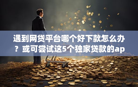 遇到网贷平台哪个好下款怎么办？或可尝试这5个独家贷款的app
