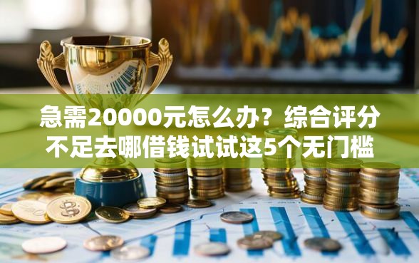 急需20000元怎么办？综合评分不足去哪借钱试试这5个无门槛平台