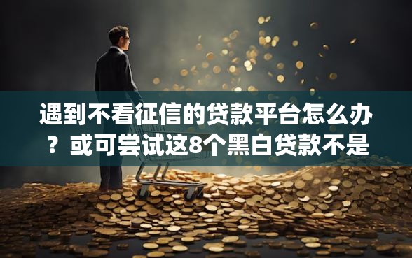 遇到不看征信的贷款平台怎么办？或可尝试这8个黑白贷款不是高炮的app