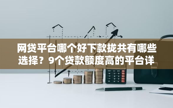 网贷平台哪个好下款拢共有哪些选择？9个贷款额度高的平台详解