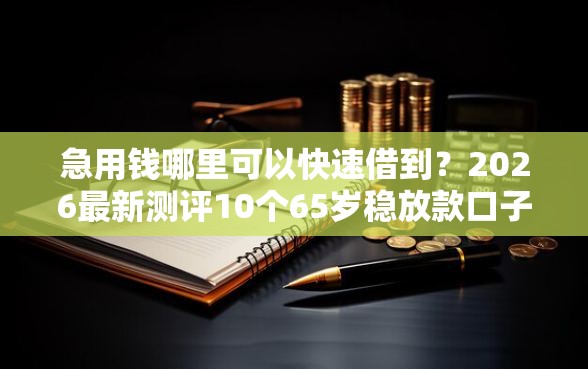 急用钱哪里可以快速借到？2026最新测评10个65岁稳放款口子正规网贷