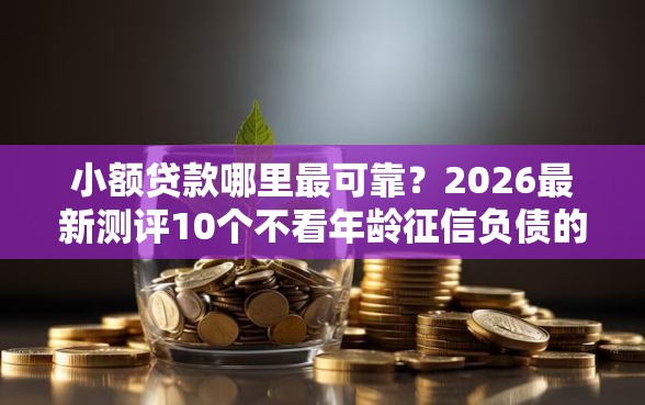 小额贷款哪里最可靠？2026最新测评10个不看年龄征信负债的口子