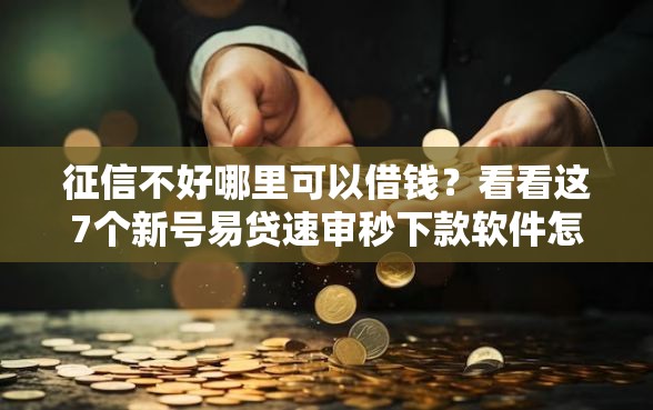 征信不好哪里可以借钱？看看这7个新号易贷速审秒下款软件怎么样