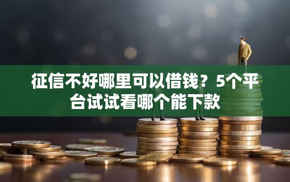 征信不好哪里可以借钱？5个平台试试看哪个能下款