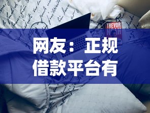 网友：正规借款平台有哪些？求介绍几款手机可以临时借钱的app